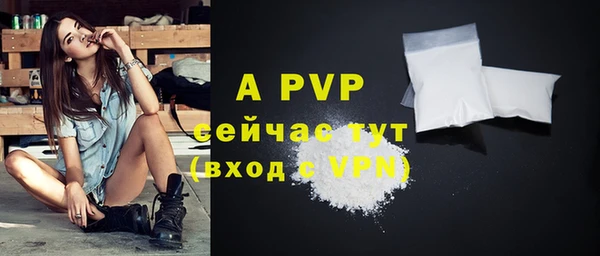 тгк Ельня