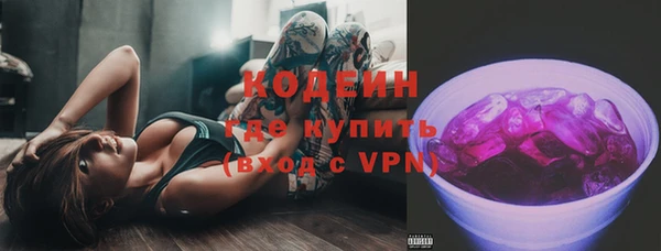 амф Елизово