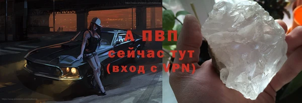 амф Елизово
