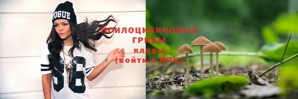 амф Елизово