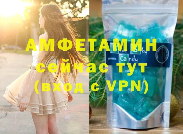 тгк Ельня
