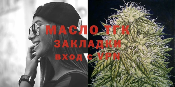 тгк Ельня