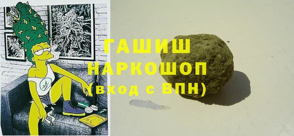 тгк Ельня