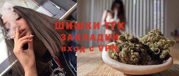 амф Елизово