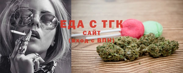 тгк Ельня