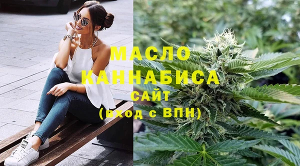 тгк Ельня