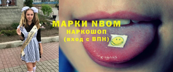 тгк Ельня