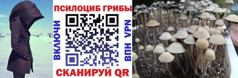 Псилоцибиновые грибы прущие грибы  OMG   Омутнинск  как найти закладки 